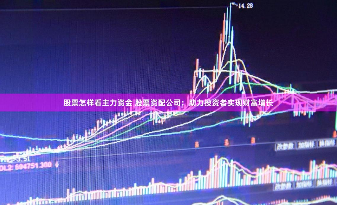 股票怎样看主力资金 股票资配公司：助力投资者实现财富增长