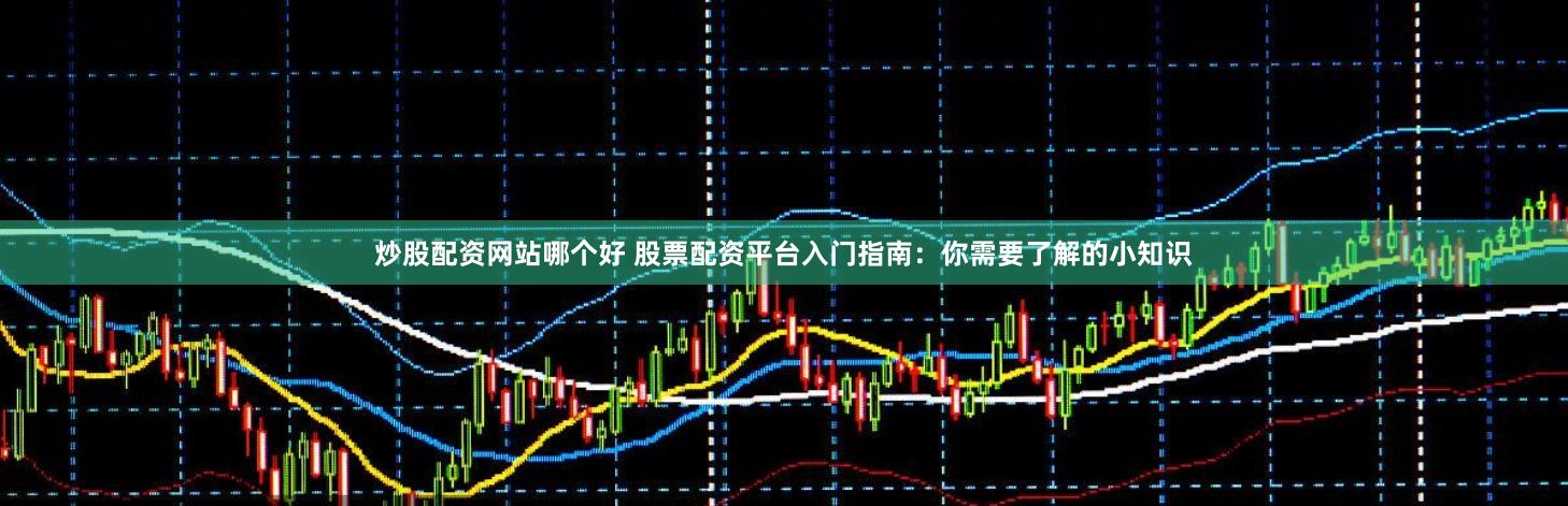 炒股配资网站哪个好 股票配资平台入门指南：你需要了解的小知识