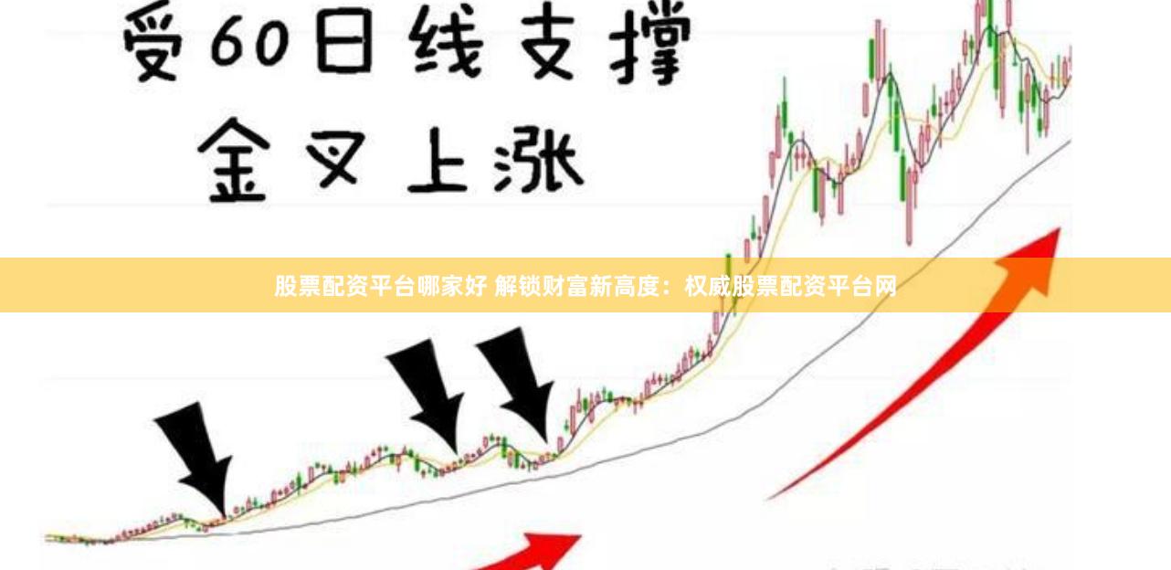 股票配资平台哪家好 解锁财富新高度：权威股票配资平台网