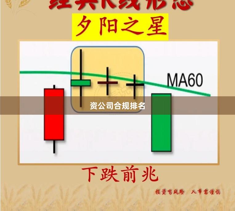 资公司合规排名